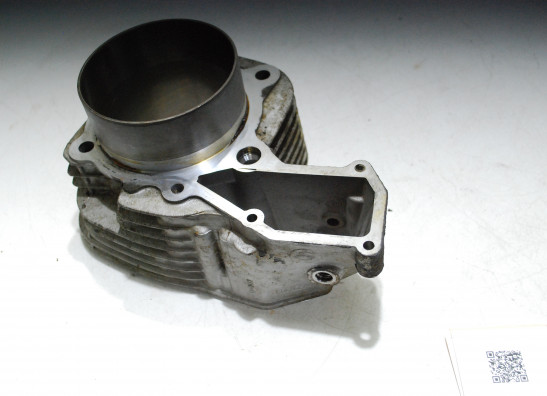 Zylinder BMW R 1150 GS
