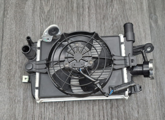 Radiateur BMW R 1250 GS Adventure