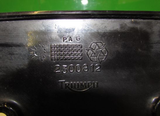 Heck Triumph Tiger 900