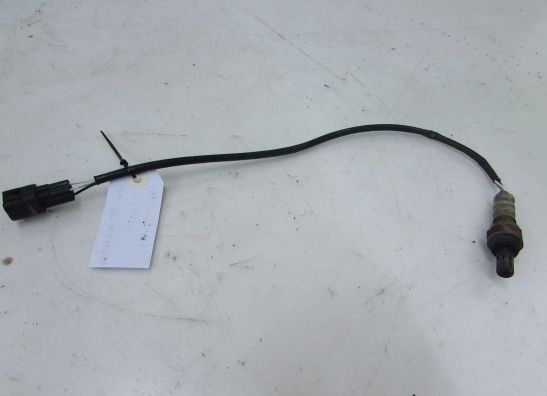 Lambda sensor KTM 950 Adventure