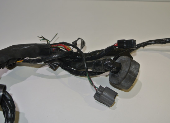 Wire Harness Kawasaki Z 750