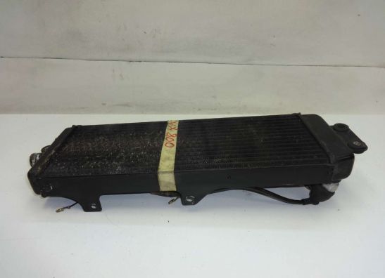 Kuhler Suzuki VX 800