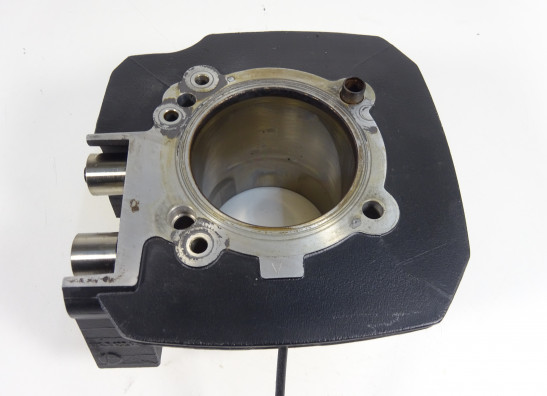 Cilinderblok Ducati monster 696