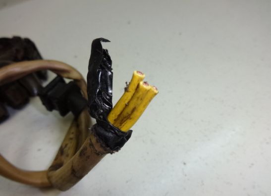 Dynamo Kawasaki VN 1500