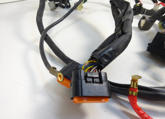 Kabelbaum Yamaha FZ1