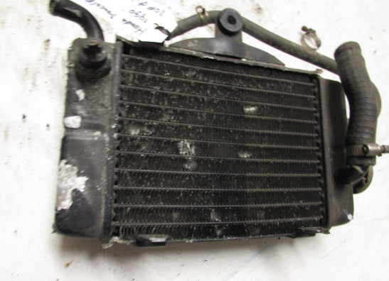 Kuhler Honda TRANSALP