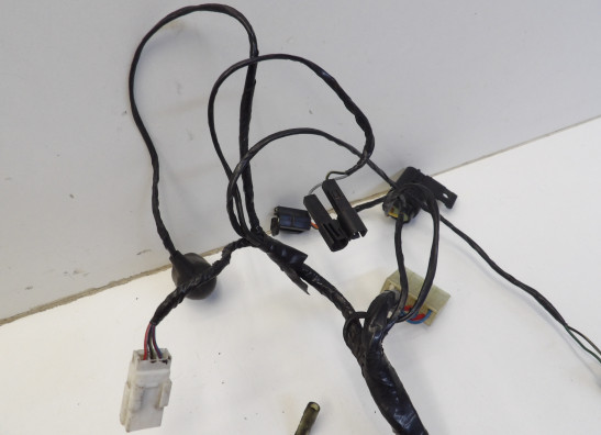 Kabelboom Triumph Thunderbird 900