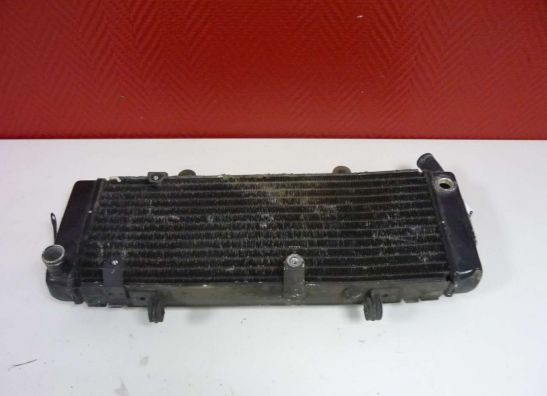 Radiator Honda CBR 600 F