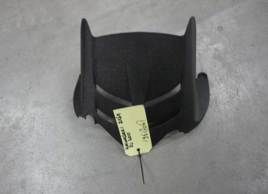 Achterspatbord Kawasaki ZX 6 R