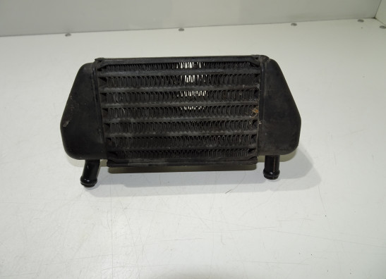 Radiator BMW R 850 R
