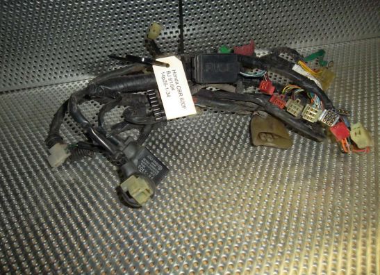 Wire Harness Honda CBR 600 F