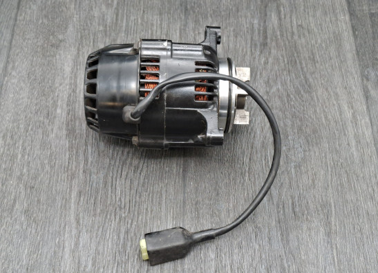 Dynamo Kawasaki ZZR 1100