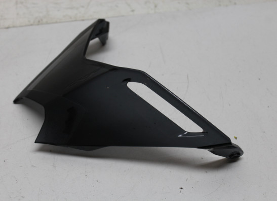 Windscherm Honda CRF 1100 Africa Twin