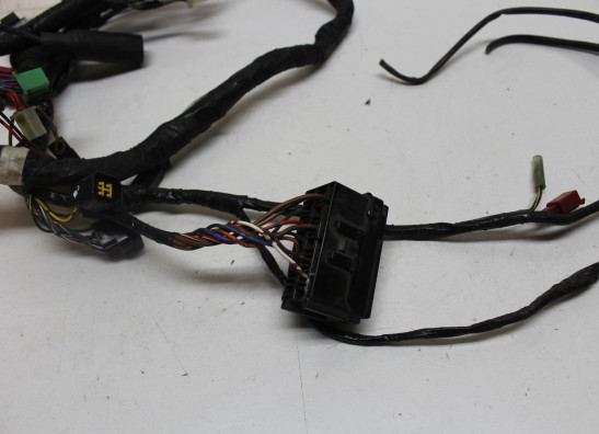 Kabelbaum Kawasaki ER 5