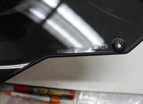 Scheibe Windschild Aprilia Tuono 660