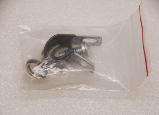 Remstang Harley Davidson Softtail