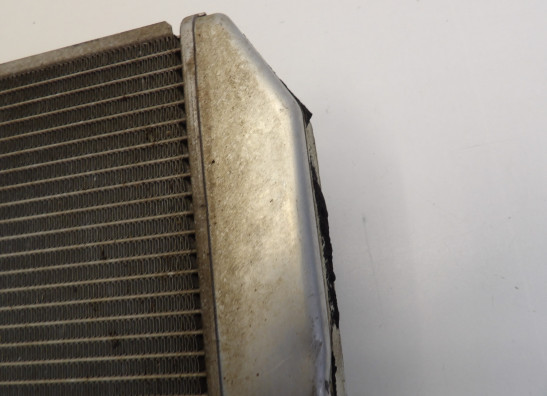 Radiator Kawasaki Z 1000 Sx