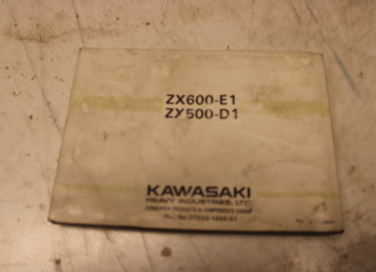 Manuel Kawasaki ZZR 600