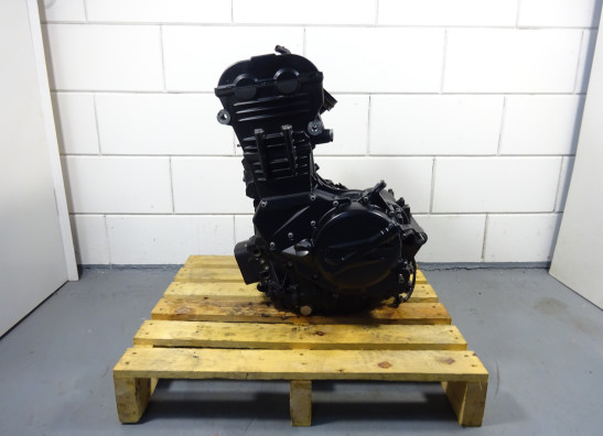 Engine BMW F 650 GS 2008-2013