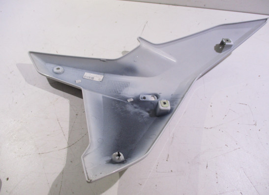 Linker zijkuip BMW R 1250 RS