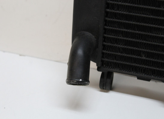 Radiateur Yamaha FZR 750 R OWO1