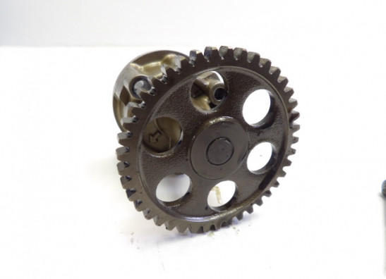 Olpumpe Yamaha YZF 1000 Thunderace