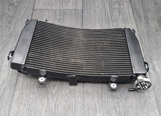 Radiateur Aprilia RS 457