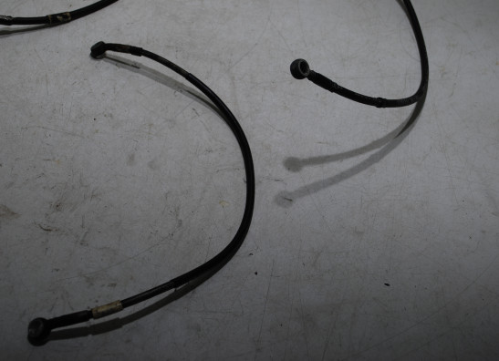Brake hose front Triumph 595 T Daytona