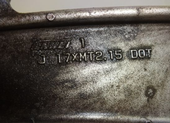 Voorvelg Kawasaki ZZR 250