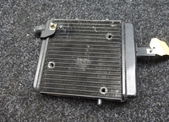 Radiateur Benelli TNT 1130 cafe racer