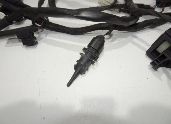 Kabelboom BMW F 800 R