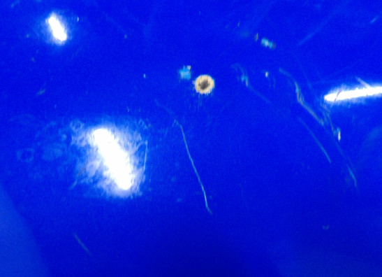 Seiten verkleidung links Suzuki GSX R 1100