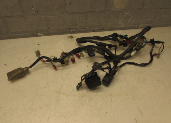 Kabelboom Honda CBR 600 F