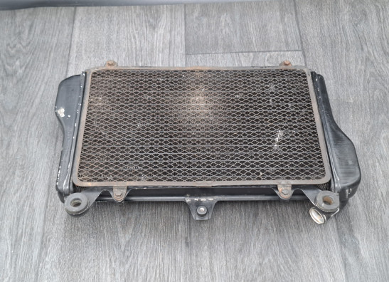 Radiator Kawasaki GPZ 900