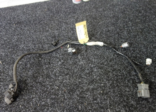 Wire Harness Kawasaki GTR 1400