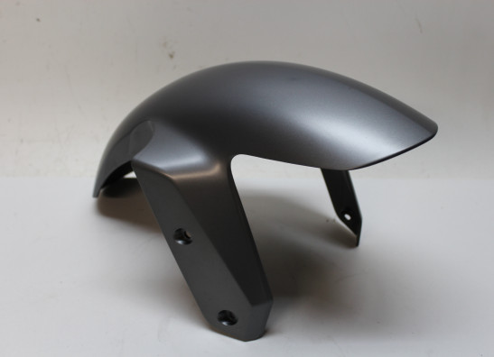 Front fender BMW R 1200 RS LC