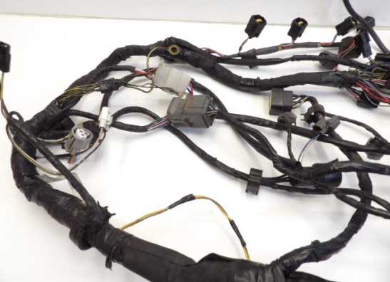 Kabelbaum Kawasaki Z 1000