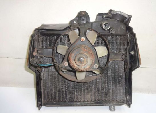 Radiateur Yamaha XZ 550