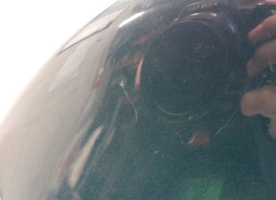 Tank Triumph Trophy 900