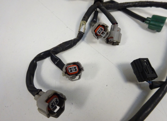 Kabelboom Yamaha FZ8