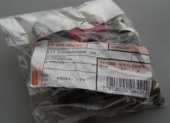 Einspritzanlage Aprilia RSV 1000