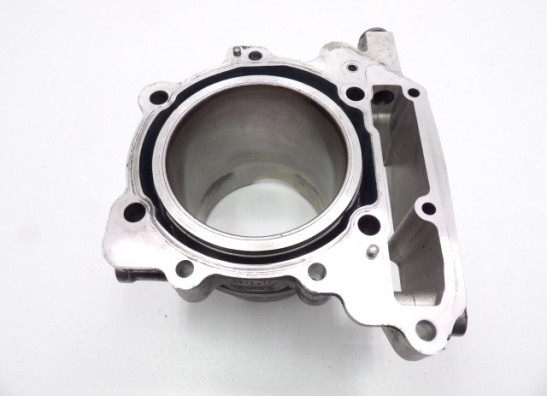 Cilinderblok Aprilia RSV 1000