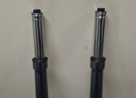 Voorpoten compleet BMW R 1100 S