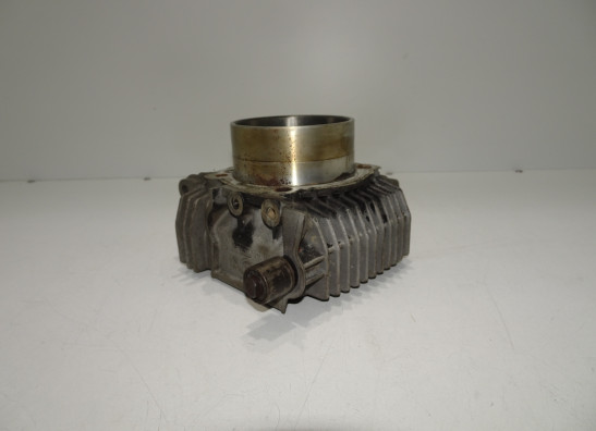 Cilinderblok Ducati monster 900