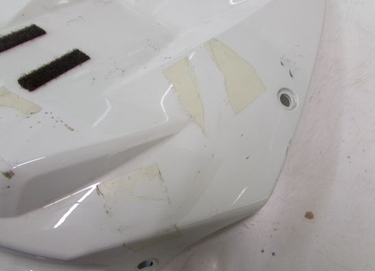 Tankschutz BMW S 1000 RR