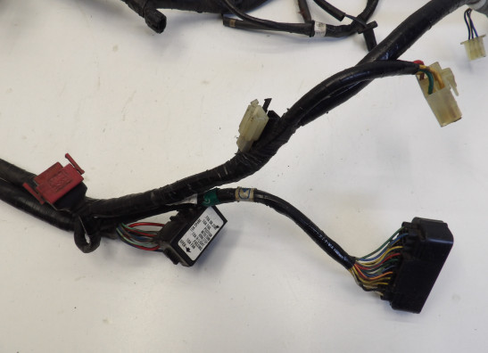 Kabelboom Honda CBR 600 F