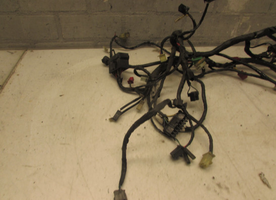 Kabelboom Honda ST 1100 Pan European