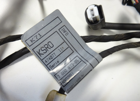 Wire Harness BMW F 800 S - ST