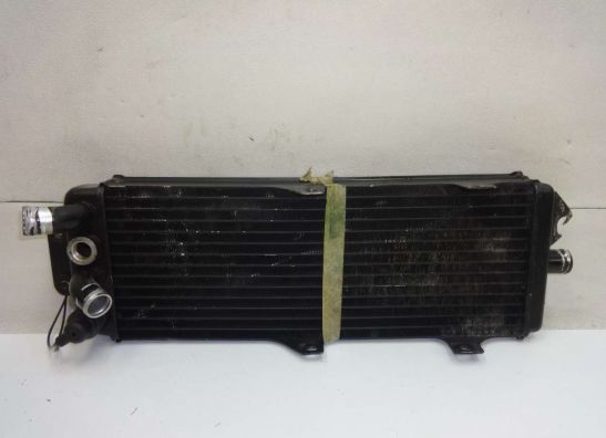 Kuhler Suzuki VX 800