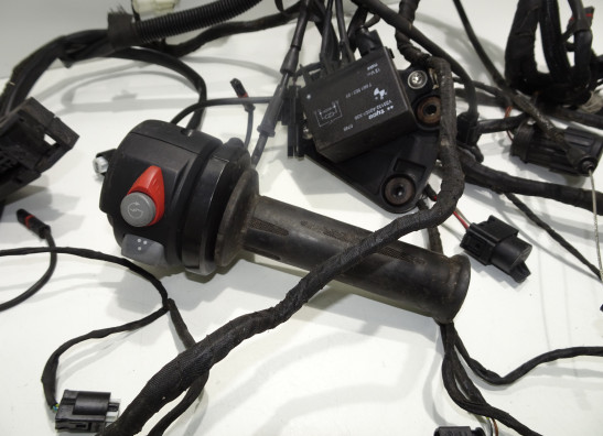 Kabelbaum BMW F 650 GS